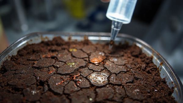 Explorez l'importance du diagnostic des sols pollués